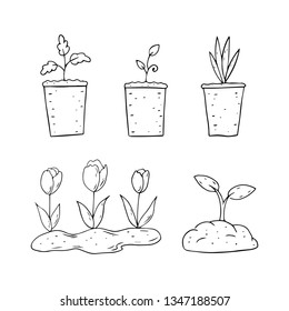 Spring plants in pots on a white background. Vector illustration.