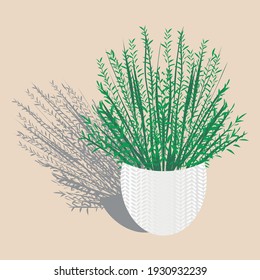 Spring plants with shadow from sun, vector sketch