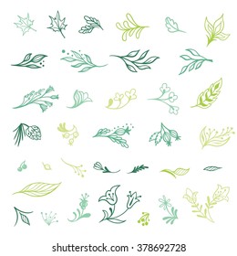 Spring Plants Sketch Icons | Green eco symbols of leaves and flowers on white background