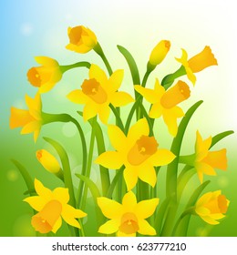 Spring Post Card With Narcissus Gradient Mesh, Vector Illustration