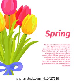 Spring postcard with congratulations, beautiful bouquet of red, yellow and pink tulips with blue ribbon isolated on white background. Spring holidays greetings with flowers vector illustration.