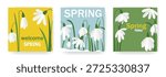 Spring postcard designs with snowdrops. Spring time set of square templates. Layouts for social media, posts, brochures, flyers and posters. Vector graphics