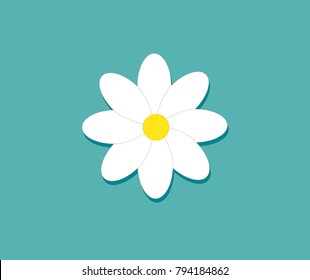 
Spring postcard - flower (camomile) on a green background. 