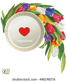 Spring postcard with tulip flower, isolated on white background