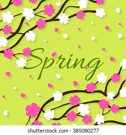 Spring poster with blooming white and pink cherry. Green text and green background