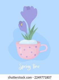 Spring poster with Crocus flower. First blooming purple saffron in snow in cup on blue background. Vector illustration in flat style for postcards, design, print, decor, covers