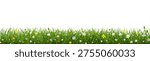 Spring Poster With Spring Flowers And Grass , Vector Illustration