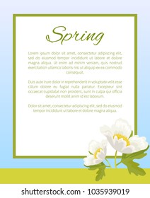 Spring poster place for text in frame and anemone snowdrop garden plant vector illustration isolated on white with two blooming flowers on banner