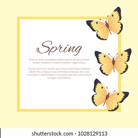 Spring poster with text in frame and colorful butterflies of yellow and black color, greeting card design with cute flying insects vector illustration