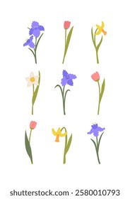 Spring poster with various flowers. Daffodil, iris and tulip flowers. Vector floral flat colorful illustration