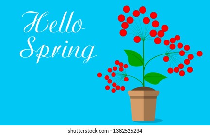 Spring pot with red berries