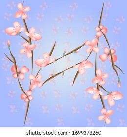 SPRING PUTTERN on blue backgroung