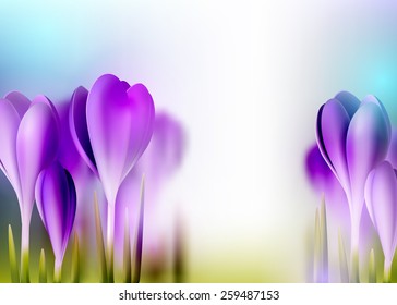 Spring realistic crocus flower bright background, vector decorative blurred  illustration with empty space