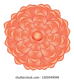 Spring red camellia icon. Cartoon of spring red camellia vector icon for web design isolated on white background