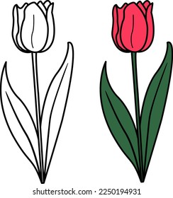 Spring red tulip for coloring book. Vector illustration of tulip flowers