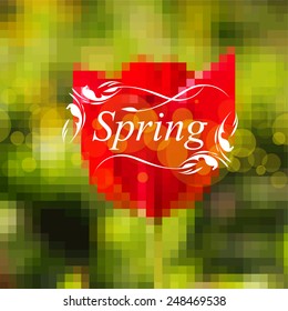 spring red tulip. Vector