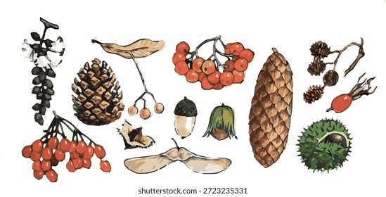 A primavera é o renascimento da natureza, sementes de árvores, cones, nozes, a natureza ganha vida e a ecologia é renovada. Frutos de pinheiro, abeto, aveleira Materiais de ensino da botânica Estudo de florestas mistas, florestas de coníferas, zonas climáticas, geografia Nutrição animal na floresta: esquilos, roedores, inverno enraizamento Sementes de carvalho de bétula de carvalho Pássaros de carvalho Bolotas de carvalho, agulhas de pinho, espru resina Substâncias úteis na medicina Tília, castanhas, quadris de rosa, viburnum Uma variedade de cones é uma variedade de natureza na floresta. Reprodução de árvores e arbustos Material para jardim de infância e escola para ilustrações de livros didáticos