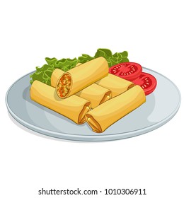 Spring Roll Vector