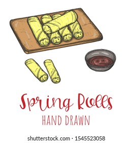 Spring rolls chinese dish, hand drawn vector illustration, isolated sketched design.