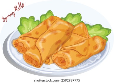 Spring Rolls Served in Plate with Lettuce. Chinese Street Food Illustration Isolated. Deep Fried Vegetable Wraps.