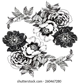 Spring roses and butterflies pattern on white background vector illustration