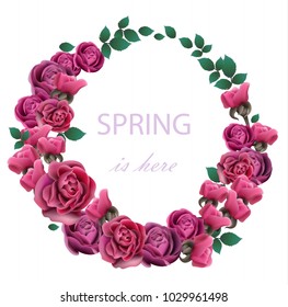 Spring Roses Flower wreath Vector realistic illustration. Fucsia color floral frame decors