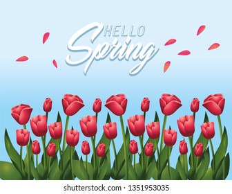 spring roses plants with nature leaves