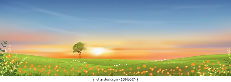 Spring rural landscape with morning sky and single tree on green grass fields,Natural farmland with wild flowers and meadow with colourful sunset in evening,Vector horizon banner on spring or summer 