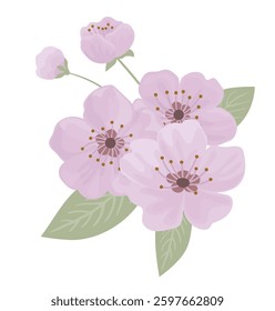 Spring sakura blooming flowers bouquet