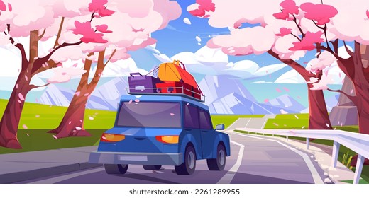 Spring sakura blossom and mountain view vector landscape illustration. Side view car drive on road in forest of Japanese cherry trees. Sky with clouds in Malaysia. Family driving alley on picnic.