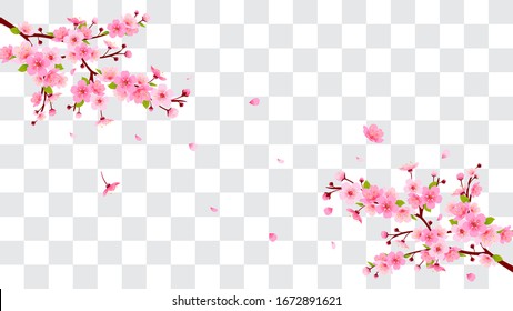 桜 花びら 透過 Images Stock Photos Vectors Shutterstock