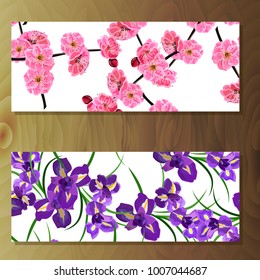 Spring sakura cherry blooming flowers, pink petals and branches vector set. Cherry or sakura and iris flowers banners on wooden background