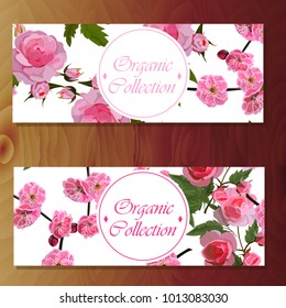 Spring sakura cherry blooming flowers, pink petals and branches vector set. Cherry or sakura and rose banners on wooden background