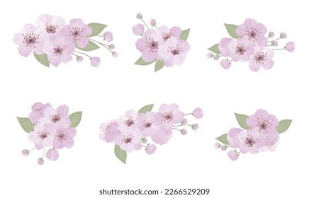 Spring sakura cherry blooming flowers bouquet