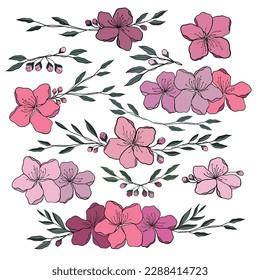 Spring sakura cherry blooming flowers bouquet. Isolated realistic pink petals, blossom, branches, leaves vector set. Design spring tree illustration