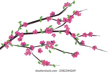 Spring Sakura cherry blooming flowers branch element