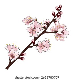 Spring Sakura cherry blooming flowers branch element