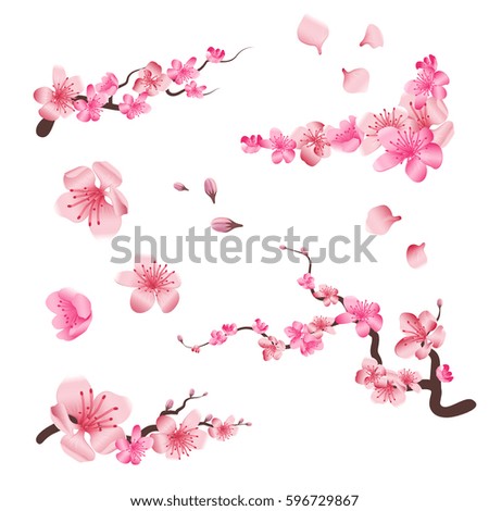 Similar – blooming buds of pink roses on a lilac background