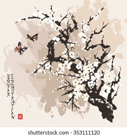 Spring sakura cherry blossom