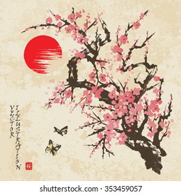 Spring sakura cherry blossom with butterflies in traditional japanese sumi-e style on vintage watercolor background. Vector illustration. Hieroglyph "sakura".