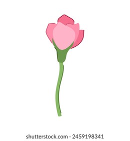 spring sakura cherry blossom cartoon. pink japan, japanese floral, nature branch spring sakura cherry blossom sign. isolated symbol vector illustration