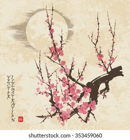 Spring sakura cherry blossom in traditional japanese sumi-e style on vintage watercolor background. Vector illustration. Hieroglyph "sakura".