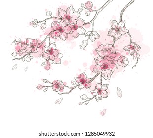 春の桜の花の花絵手描きの水彩 白い背景にかわいいペイントの桜の植物のベクターイラスト 日本と中国のホリデーカードにリアルな花が咲く のベクター画像素材 ロイヤリティフリー