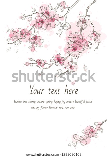 春の桜の花の花絵手描きの水彩 白い背景にかわいいペイントの桜の植物のベクターイラスト 日本と中国のホリデーカードにリアルな花が咲く のベクター画像素材 ロイヤリティフリー