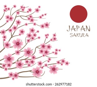 Spring sakura flowers leaves tree japan 