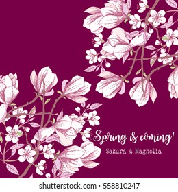  Spring Sakura and Magnolia Background. Hand drawn flowers. Vector illustration