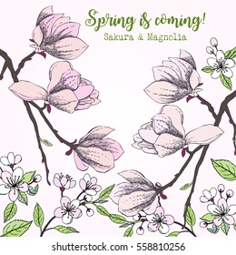  Spring Sakura and Magnolia Background. Hand drawn flowers. Vector illustration