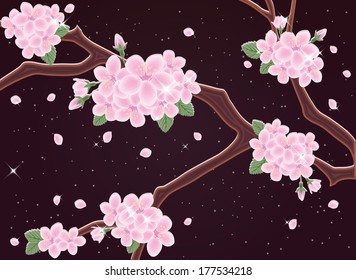 Spring sakura night card, vector illustration