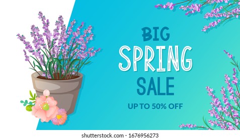 Spring sale ad text and Lavender flowers. Seasonal vector banner design.