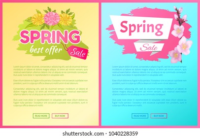 Spring sale advertisement label with branch of sakura or cherry blooming flowers, daisy buds vector web posters set. Pink blossoms symbol of springtime